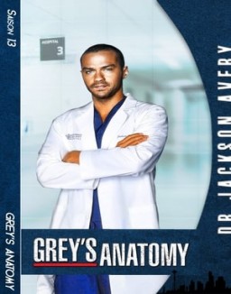 Grey's Anatomy saison 13