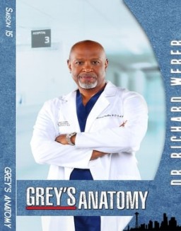 Grey's Anatomy saison 15