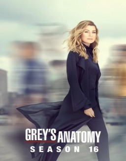 Grey's Anatomy saison 16