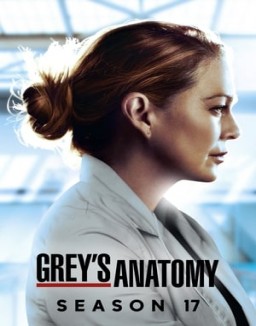 Grey's Anatomy saison 17