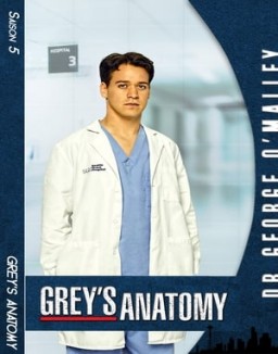 Grey's Anatomy saison 5