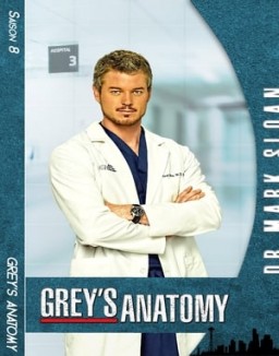 Grey's Anatomy saison 8