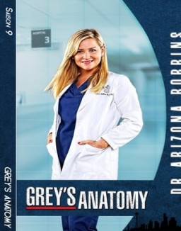 Grey's Anatomy saison 9